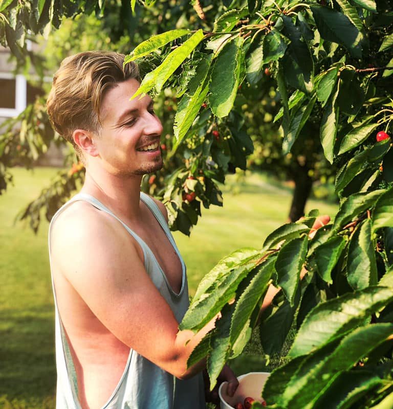 Gestern war es Zeit, die Kirschen vom Baum im Garten zu pflücken! Es war so m ...