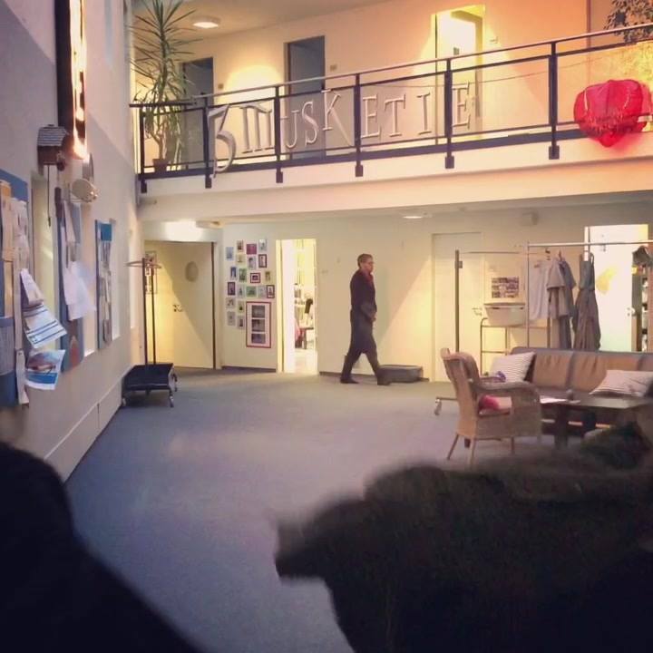 Video abspielen