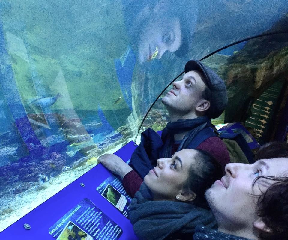 Eine tolle Zeit im Sealife München mit @sinapirouzi @jonashein # sealifemünc ...